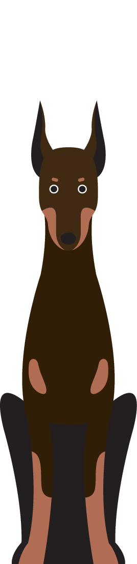 Dobermann