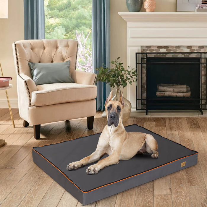 Matelas Orthopédique pour Chien Prestige Confortable