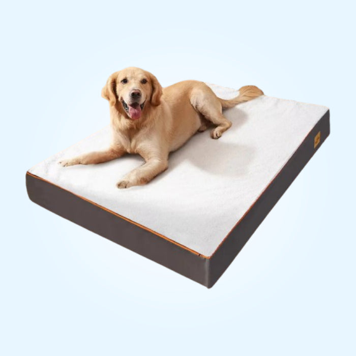 Matelas Orthopédique pour Chien Prestige Ultra Confortable