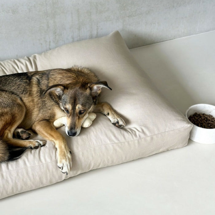 Matelas Sommeil Canin